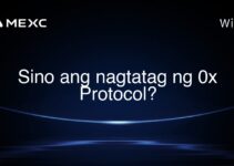 Sino ang nagtatag ng 0x Protocol?