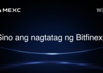 Sino ang nagtatag ng Bitfinex?