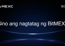 Sino ang nagtatag ng BitMEX?