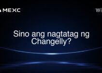 Sino ang nagtatag ng Changelly?
