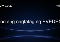 Sino ang nagtatag ng EVEDEX?