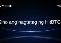 Sino ang nagtatag ng HitBTC?