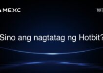 Sino ang nagtatag ng Hotbit?