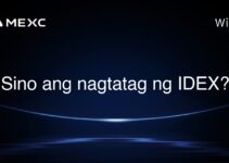 Sino ang nagtatag ng IDEX?