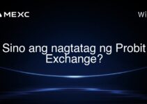 Sino ang nagtatag ng Probit Exchange?