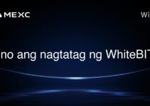 Sino ang nagtatag ng WhiteBIT?