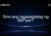 Sino ang tagapagtatag ng BitFlyer?