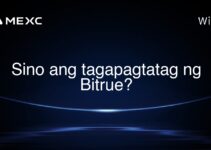 Sino ang tagapagtatag ng Bitrue?