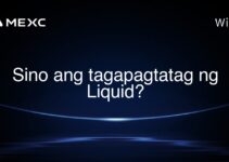 Sino ang tagapagtatag ng Liquid?