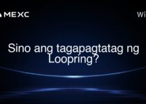 Sino ang tagapagtatag ng Loopring?