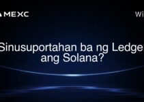 Sinusuportahan ba ng Ledger ang Solana?