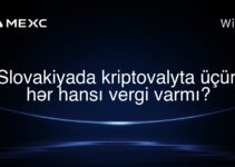 Slovakiyada kriptovalyta üçün hər hansı vergi varmı?