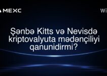 Şənbə Kitts və Nevisdə kriptovalyuta mədənçiliyi qanunidirmi?