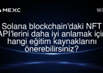 Solana blockchain’daki NFT API’lerini daha iyi anlamak için hangi eğitim kaynaklarını önerebilirsiniz?
