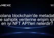 Solana blockchain’de metadata ve sahiplik verilerine erişim için en iyi NFT API’leri nelerdir?