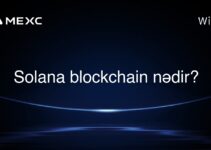 Solana blockchain nədir?