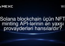Solana blockchain üçün NFT minting API-lərinin ən yaxşı provayderləri hansılardır?