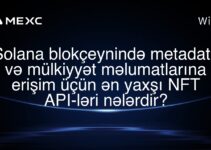 Solana blokçeynində metadata və mülkiyyət məlumatlarına erişim üçün ən yaxşı NFT API-ləri nələrdir?