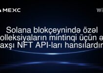 Solana blokçeynində özəl kolleksiyaların mintinqi üçün ən yaxşı NFT API-ları hansılardır?