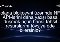 Solana blokçeyni üzərində NFT API-lərini daha yaxşı başa düşmək üçün hansı təhsil resurslarını tövsiyə edə bilərsiniz?