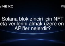 Solana blok zinciri için NFT meta verilerini almak üzere en iyi API’ler nelerdir?