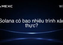 Solana có bao nhiêu trình xác thực?