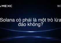 Solana có phải là một trò lừa đảo không?