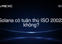 Solana có tuân thủ ISO 20022 không?