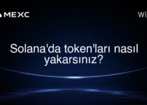 Solana’da token’ları nasıl yakarsınız?