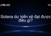 Solana dự kiến sẽ đạt được điều gì?