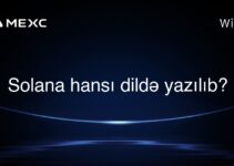 Solana hansı dildə yazılıb?