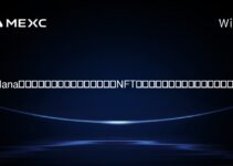 Solanaブロックチェーン上でユーザーがNFTを取引できるプラットフォームとは？