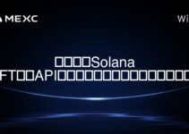 SolanaブロックチェーンでリアルタイムのNFT市場データにアクセスするためのベストAPIは何ですか？