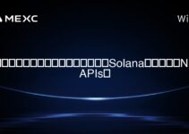 你可以推薦哪些教育資源來更好地理解Solana區塊鏈上的NFT APIs？