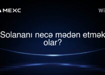 Solananı necə mədən etmək olar?