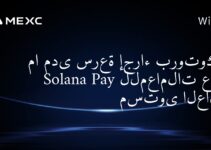 Как быстро протокол Solana Pay обрабатывает транзакции по всему миру?