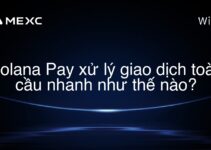 Solana Pay xử lý giao dịch toàn cầu nhanh như thế nào?