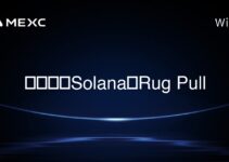如何进行Solana的Rug Pull