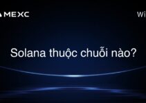 Solana thuộc chuỗi nào?