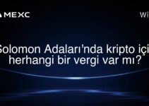 Solomon Adaları’nda kripto için herhangi bir vergi var mı?