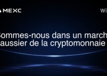 Sommes-nous dans un marché haussier de la cryptomonnaie ?