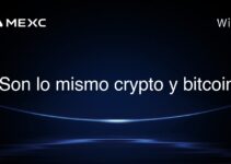 ¿Son lo mismo crypto y bitcoin?
