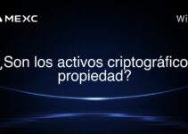 ¿Son los activos criptográficos propiedad?
