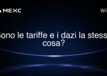 Sono le tariffe e i dazi la stessa cosa?