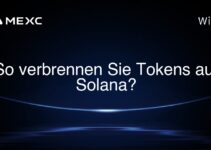 So verbrennen Sie Tokens auf Solana?