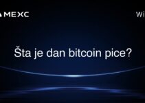 Šta je dan bitcoin pice?