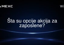 Šta su opcije akcija za zaposlene?