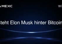 Steht Elon Musk hinter Bitcoin?
