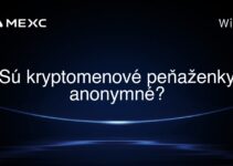 Sú kryptomenové peňaženky anonymné?