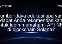 Sumber daya edukasi apa yang dapat Anda rekomendasikan untuk lebih memahami API NFT di blockchain Solana?